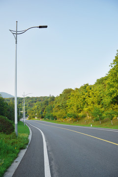 绿树公路