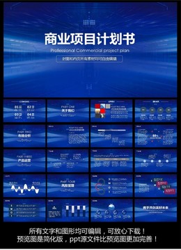 商業(yè)計(jì)劃ppt模板