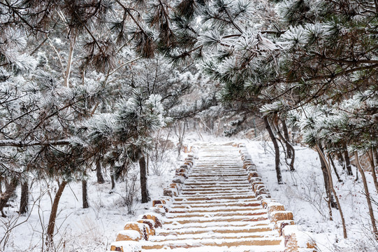 冰雪后的小路