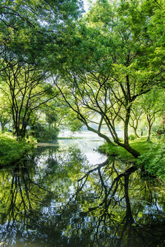 西湖茅家埠景区