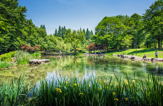 杭州太子湾公园