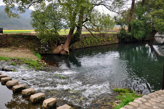 乡村小河