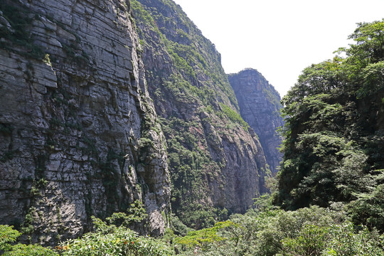 地层剖面