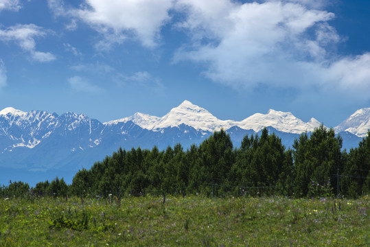 天山