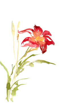 紅色的花朵