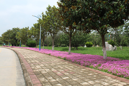 人行道道路景观