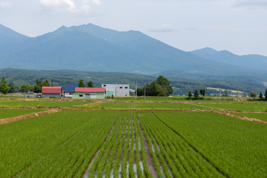 日本乡村