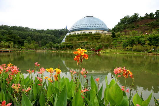 植物园全景