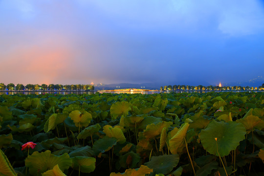 杭州西湖夜景