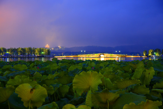 杭州西湖夜景