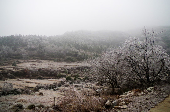 衡山冬景