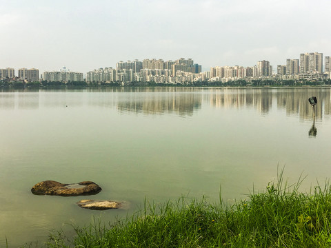 濕地公園肇慶波海湖公園