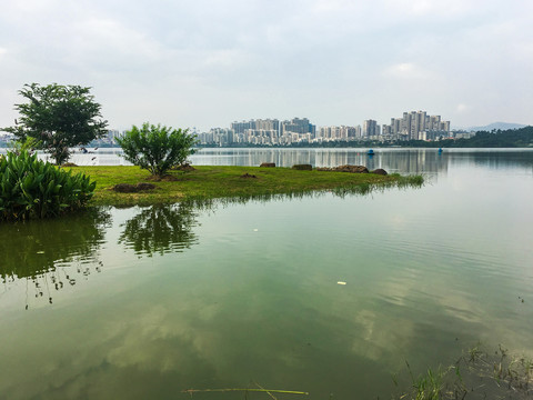 湿地公园肇庆波海湖公园