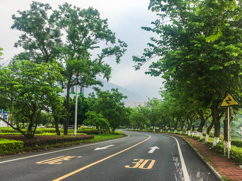 道路交通限速标志箭头