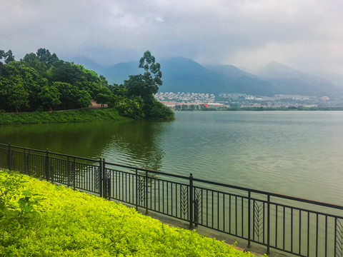 湿地公园肇庆波海湖公园