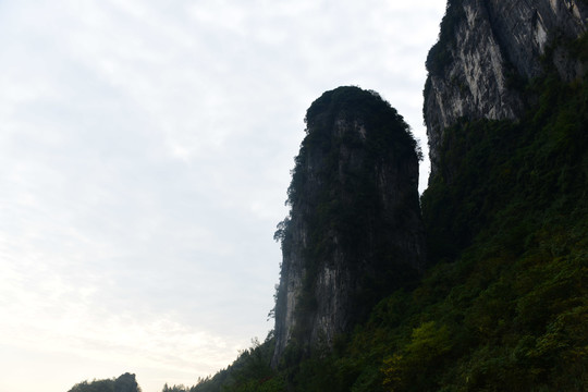 大山森林