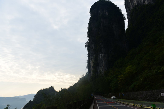 大山森林