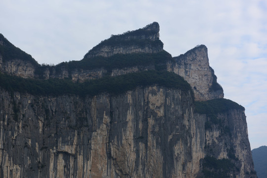 大山森林