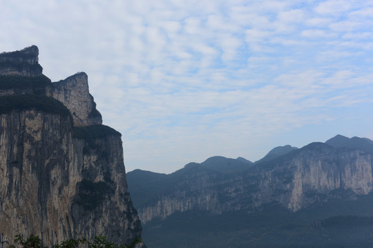 大山森林