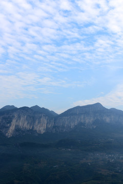 大山森林