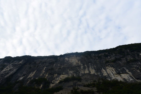 大山森林