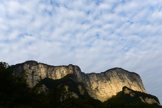 大峡谷景观大山森林