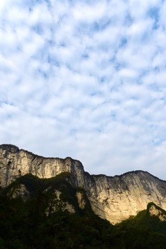 大峡谷景观大山森林