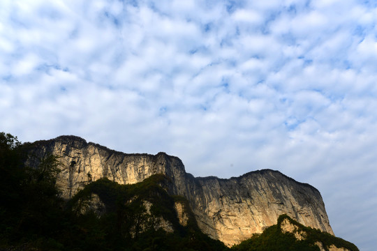 大峡谷景观大山森林