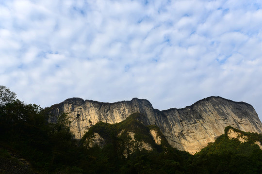 大峡谷景观大山森林