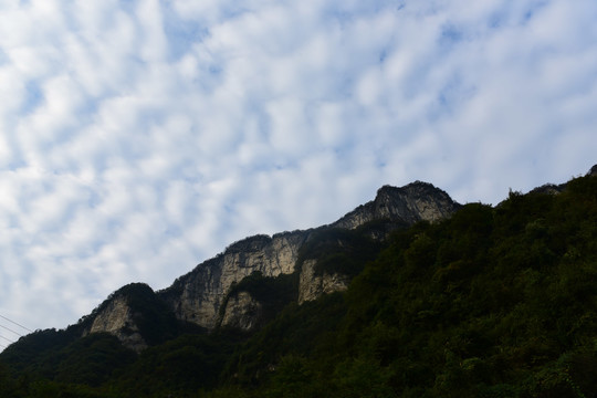 大峡谷景观大山森林