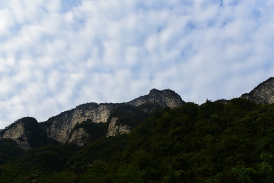 大峡谷景观大山森林