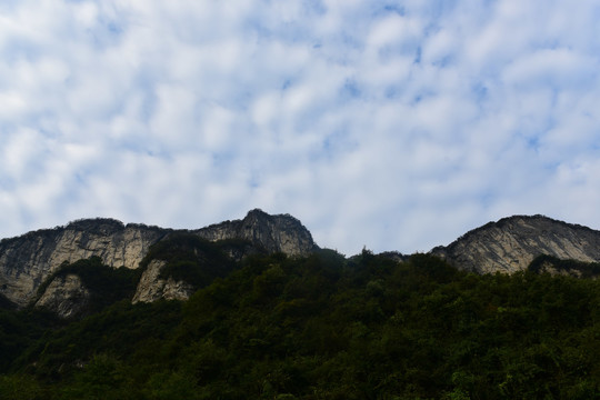 大峡谷景观大山森林