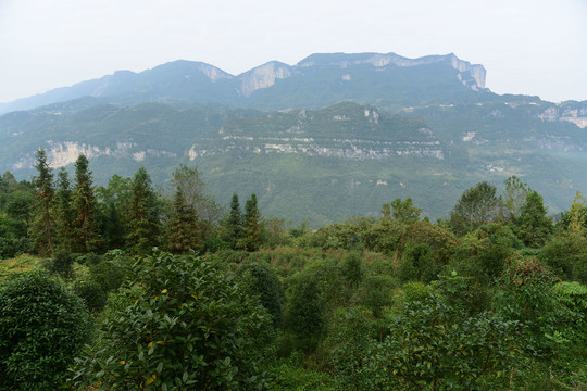 湖北恩施大峡谷景区