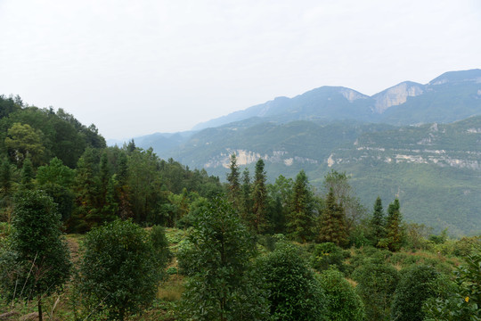 湖北恩施大峡谷景区