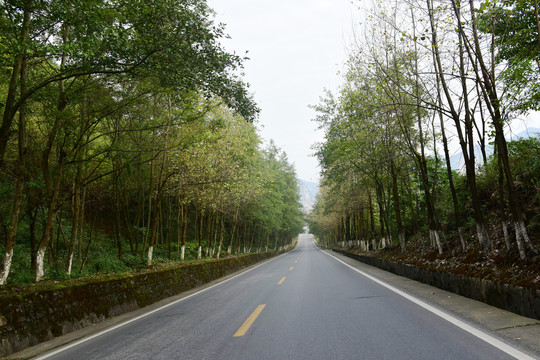 山路大峡谷