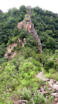 野长城