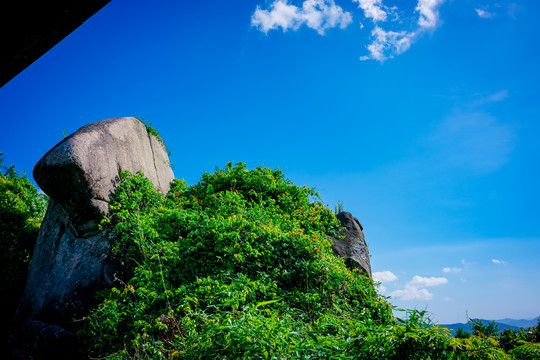 亚龙湾天堂森林公园