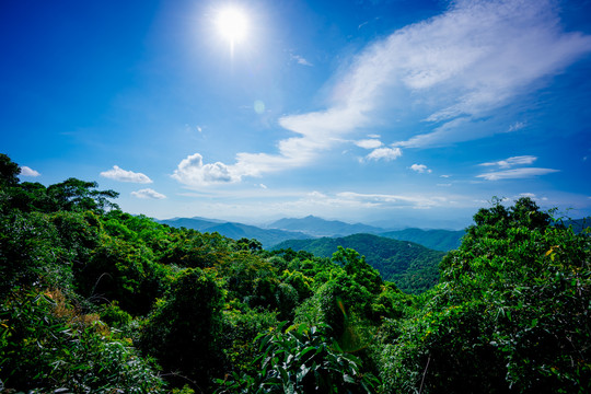 亚龙湾天堂森林公园