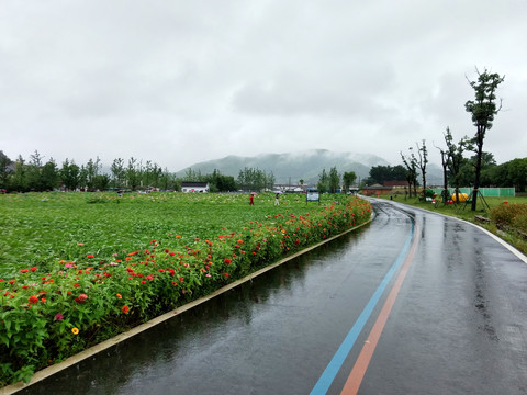 新农村建设