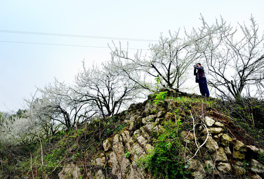 美丽乡村花满园