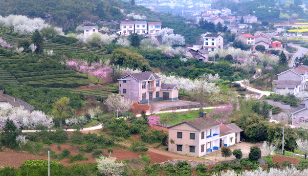 美丽乡村花满园