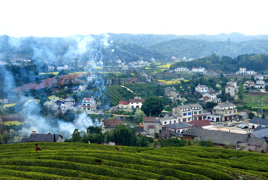 美丽乡村花满园