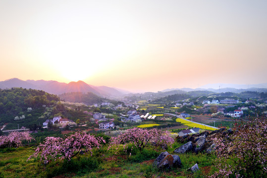 美丽乡村花满园