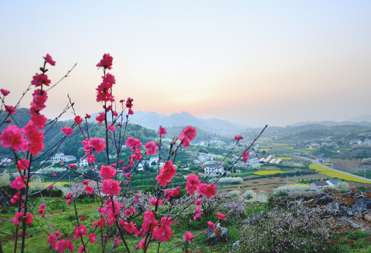 美丽乡村花满园