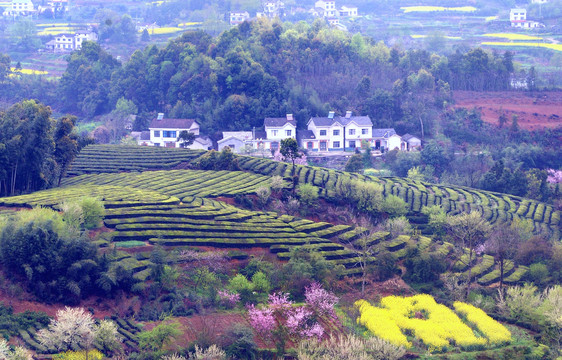 桃李花香美丽乡村