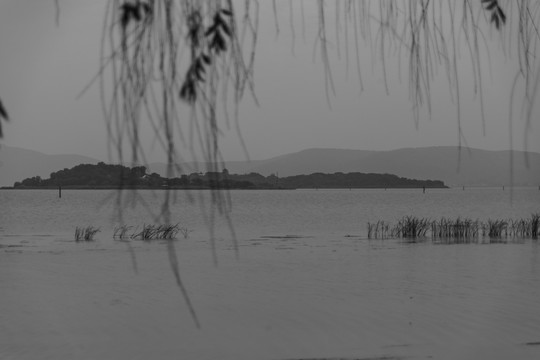 烟雨西湖