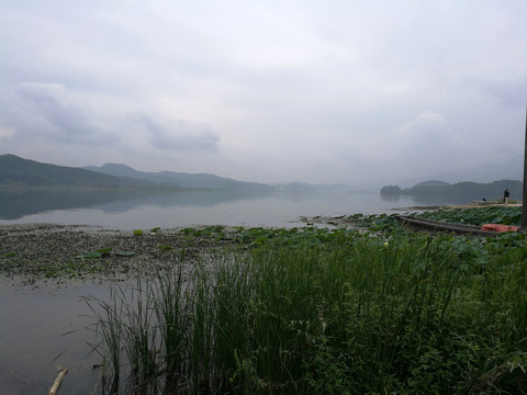 韩国南扬州茶山生态公园