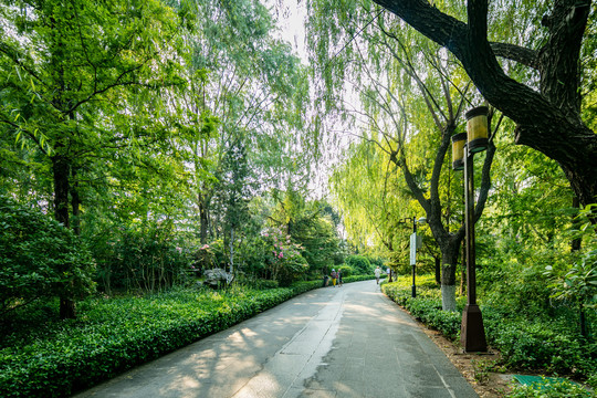 大明湖景色怡人