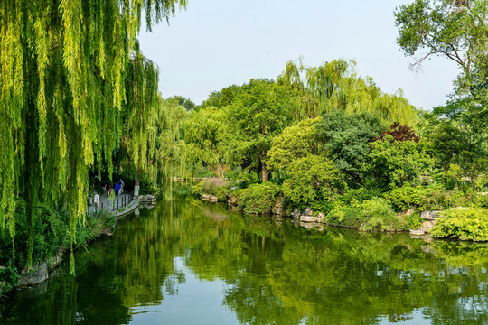 明湖风景