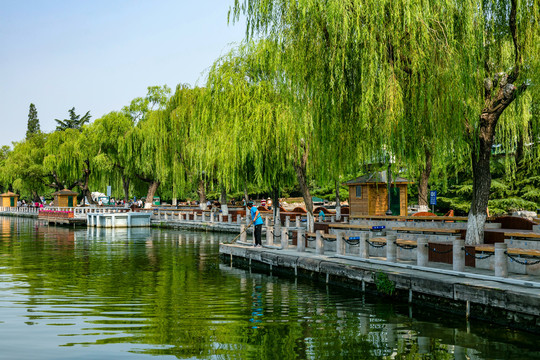 济南大明湖美景